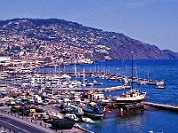 Marina Funchal : Yachten, Fischerboote, Slip